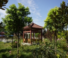 優(yōu)美的工作環(huán)境01 優(yōu)美的工作環(huán)境01